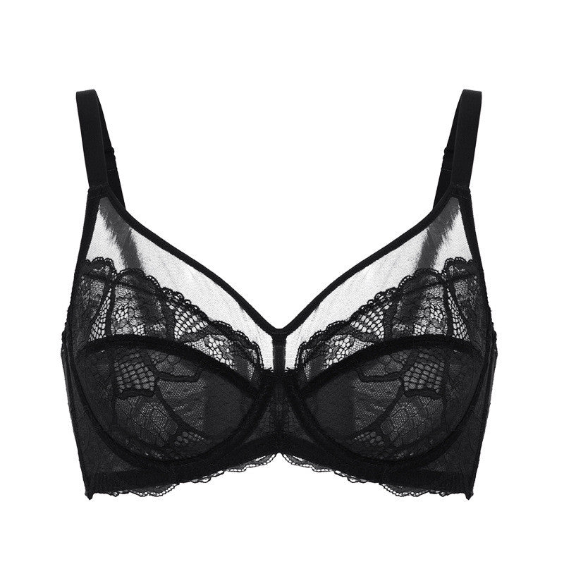 Aria · HZ IX-10 — sheer lace minimiser bra