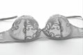 Corail · HZ IN-315 — embroidered bra & brief set