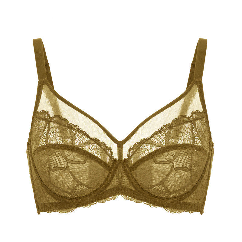Aria · HZ IX-10 — sheer lace minimiser bra