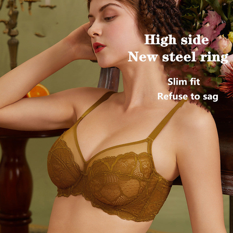 Aria · HZ IX-10 — sheer lace minimiser bra