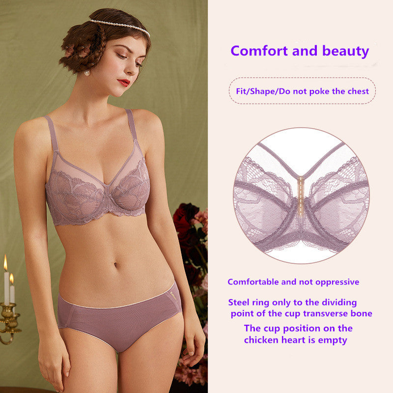 Aria · HZ IX-10 — sheer lace minimiser bra