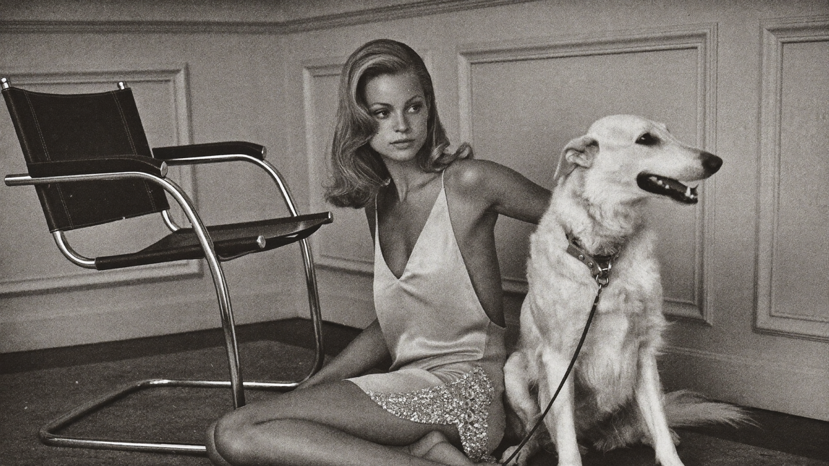 HIPEAZ editorial — borzoi